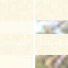 Lucent бисквит