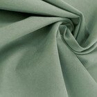 Мята Канвас блэкаут. 147276